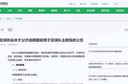 天博官网注册关于布莱顿迎德甲关键赛，窗口期刷新队史纪录，球迷炸锅，赛程密集仍需轮换的信息